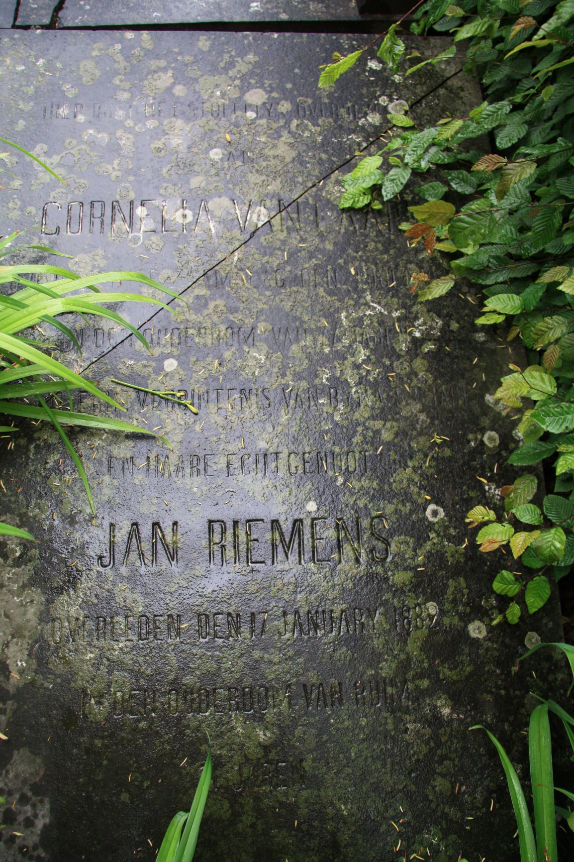 Jan Riemens