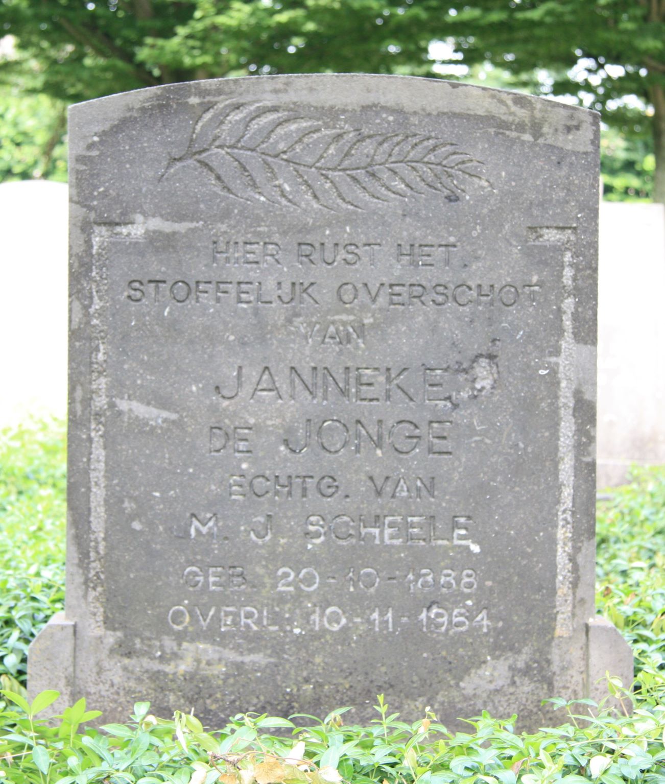 Janneke de Jonge